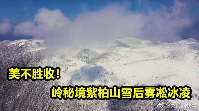 不请自来的客人