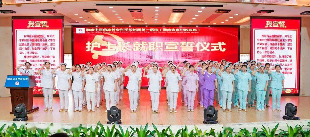 植物大战僵尸13