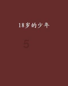 大直径光面管散热器